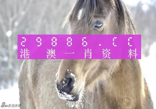 汽车销售服务 第331页