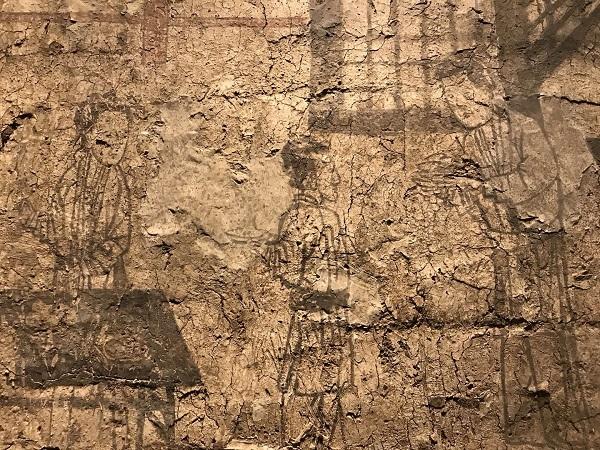 视觉盛宴回顾与影响，最新陈列展深度解析