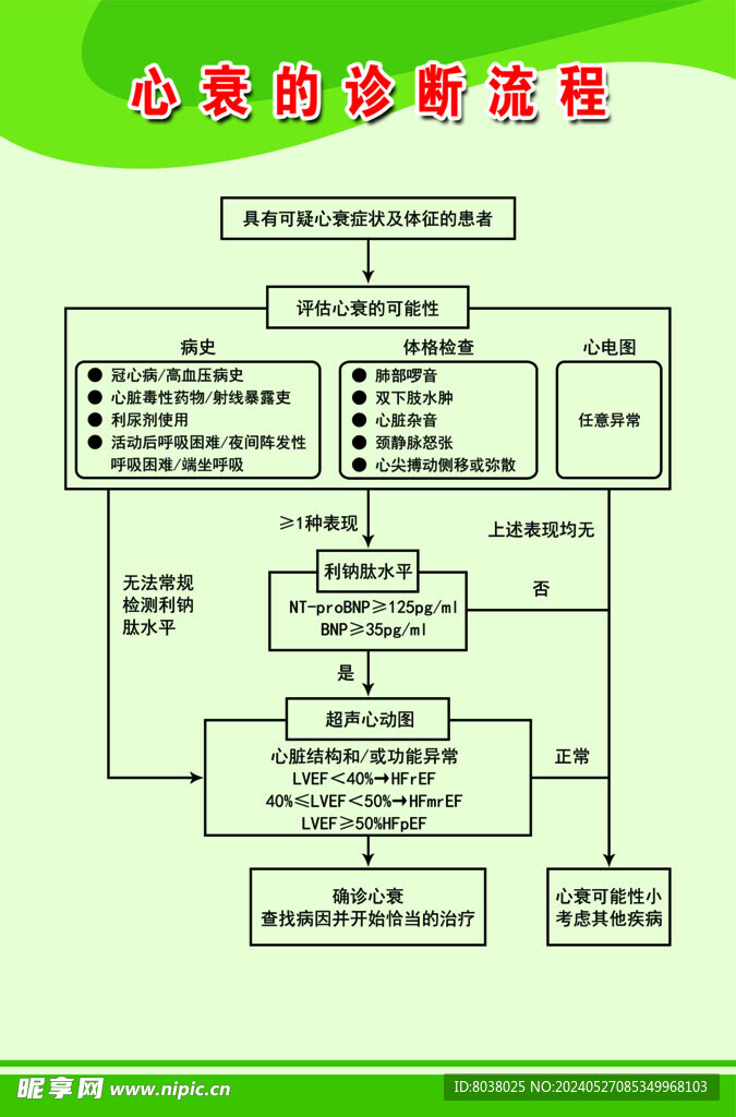 心衰最新诊断，探索奇妙之旅的启程点