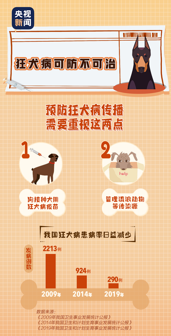 央视报道的狂犬病，详细应对步骤指南